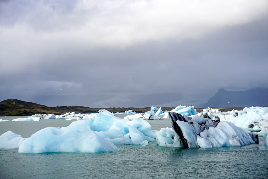 View of the glaciers from the boat tour