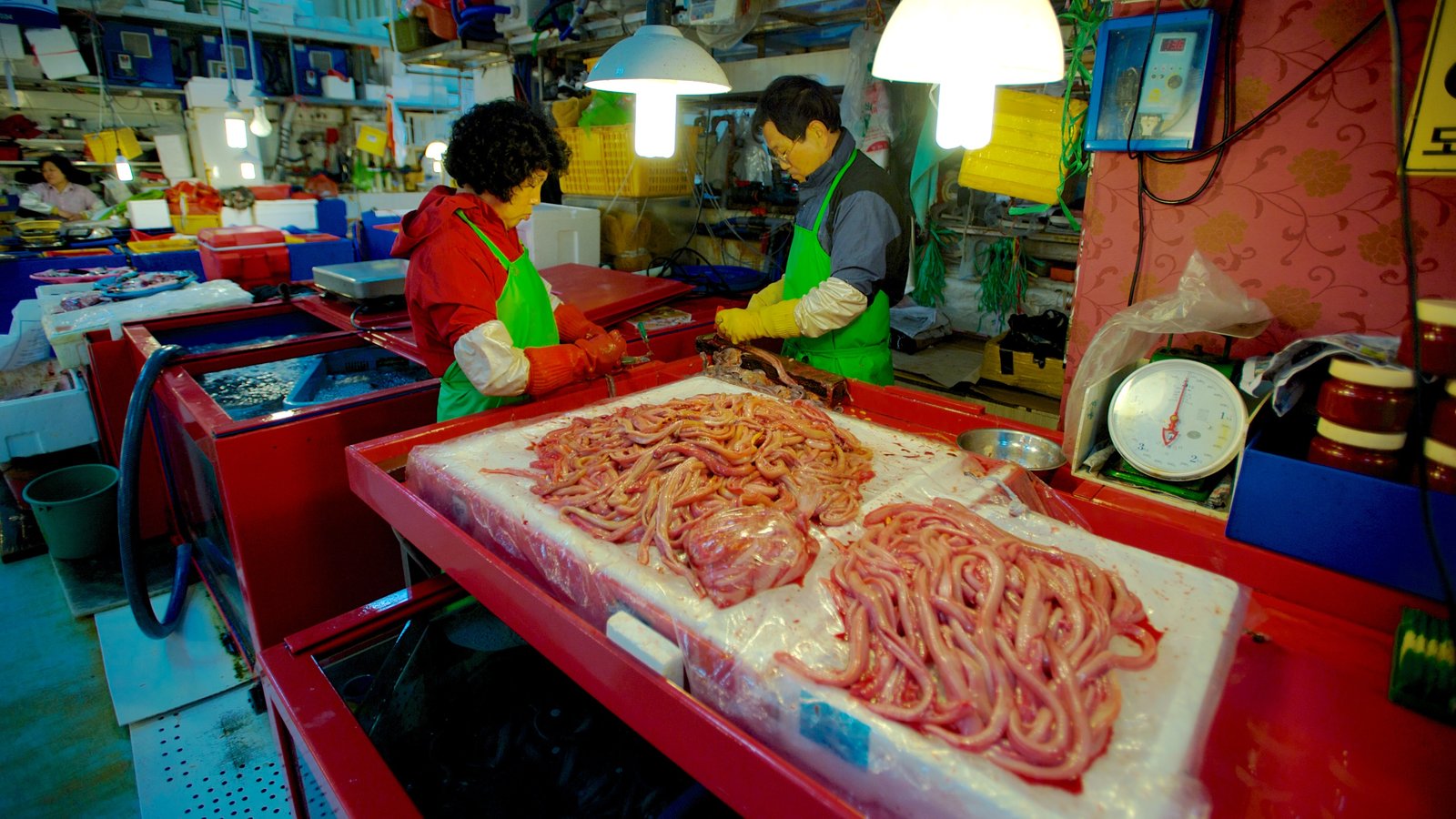 Stall at Jagalchi Fish Market