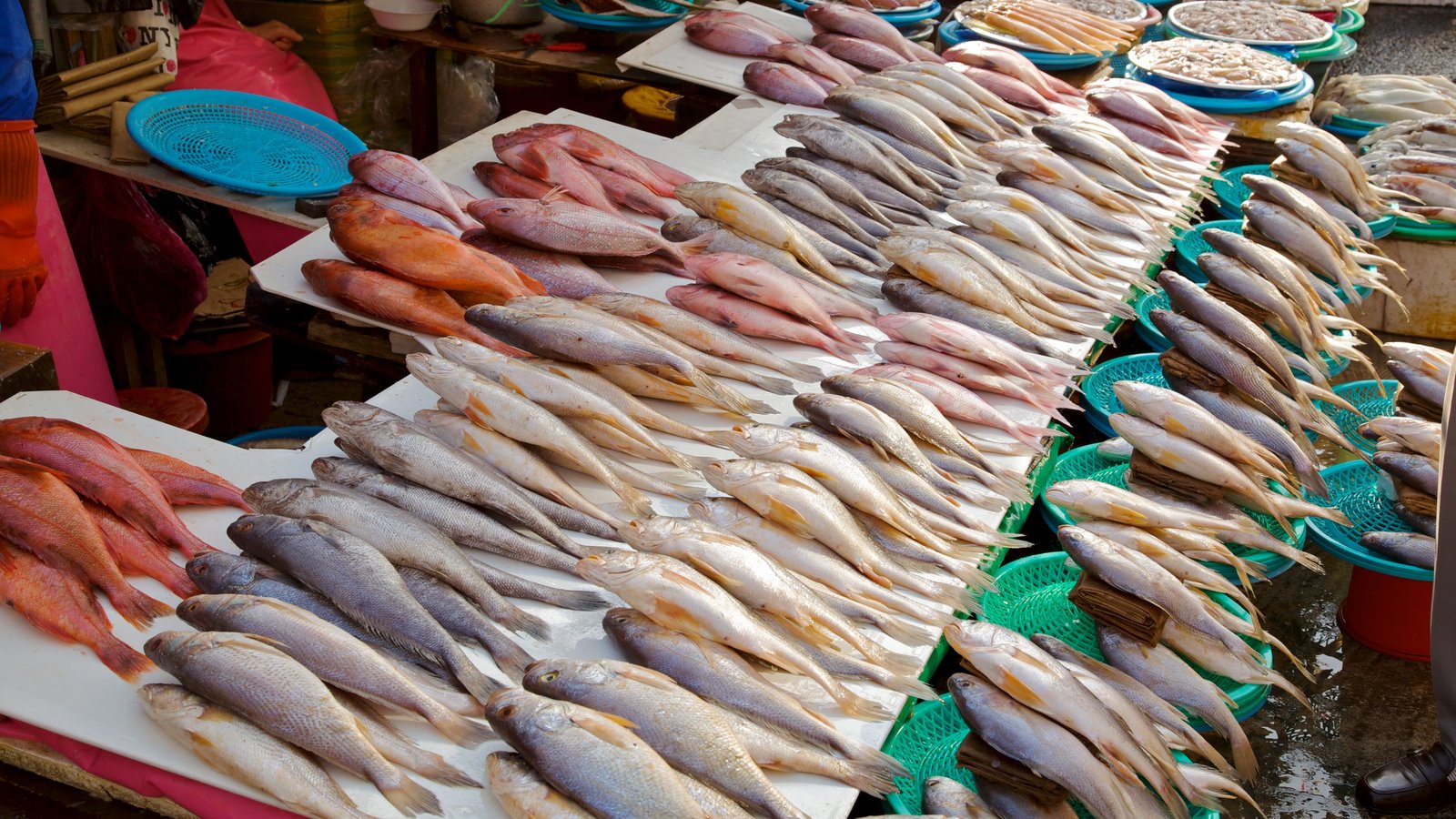Fish stall at Jagalchi Fish Market