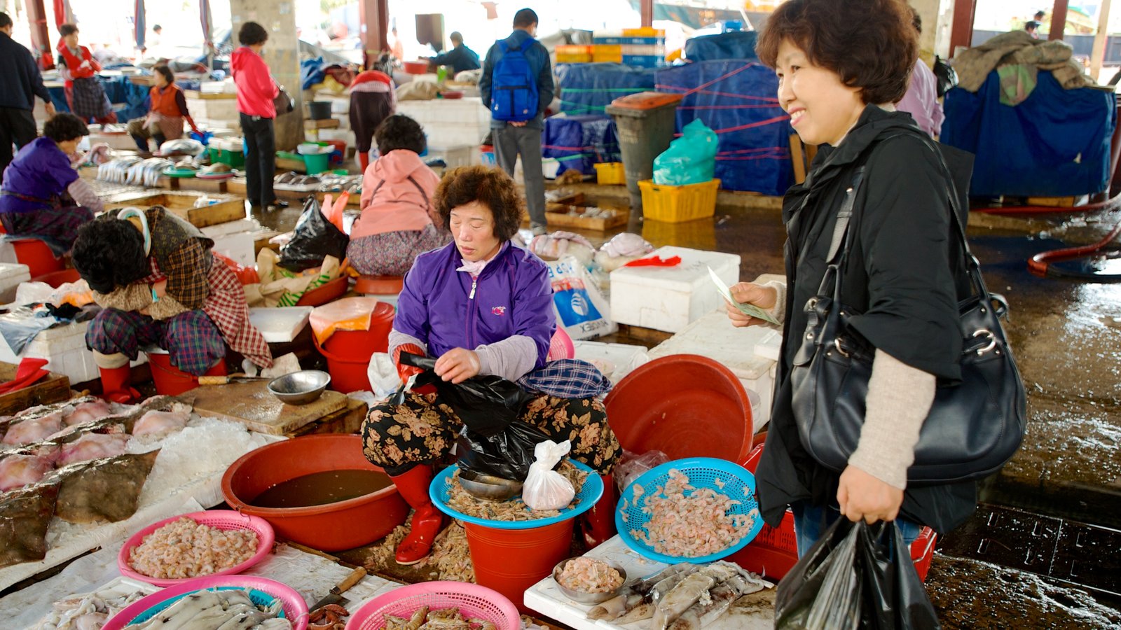 Scenes at Jagalchi Fish Market