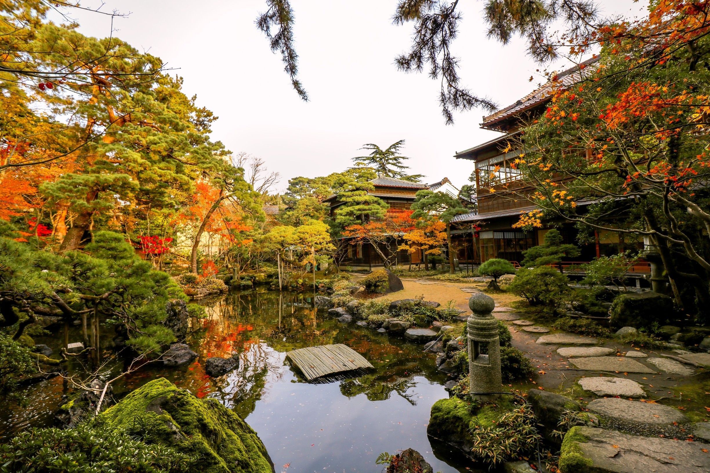 japanese garden with pond