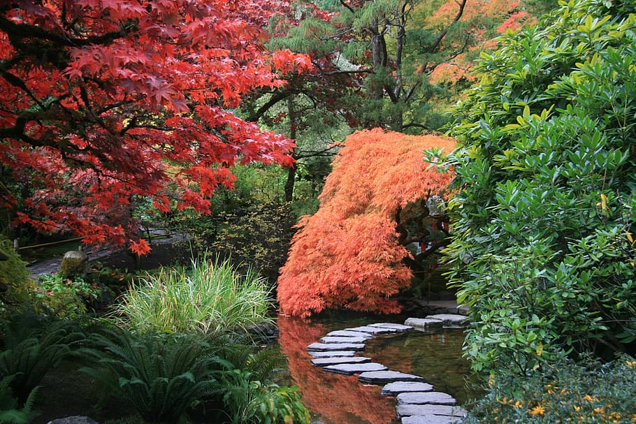 garden path through a japanese garden
