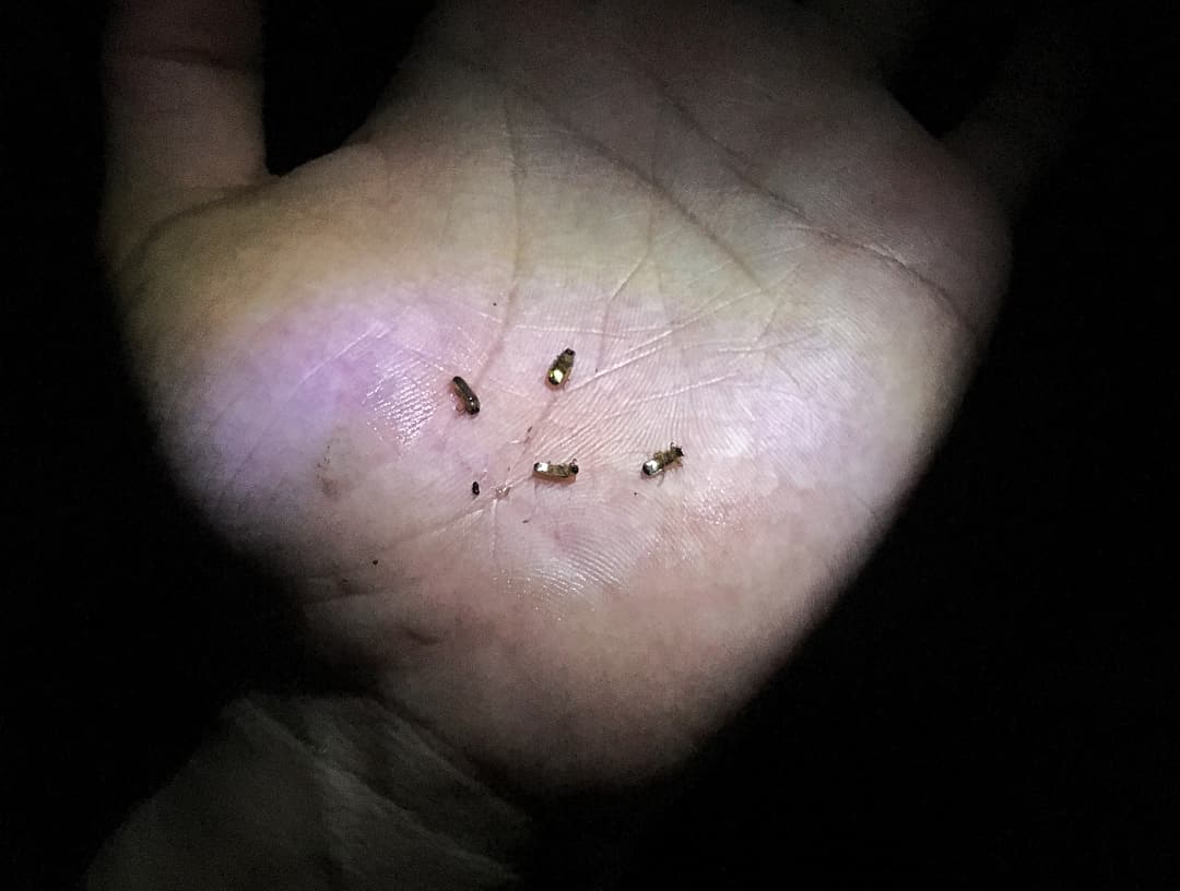 Fireflies by the river in Kampung Kuantan