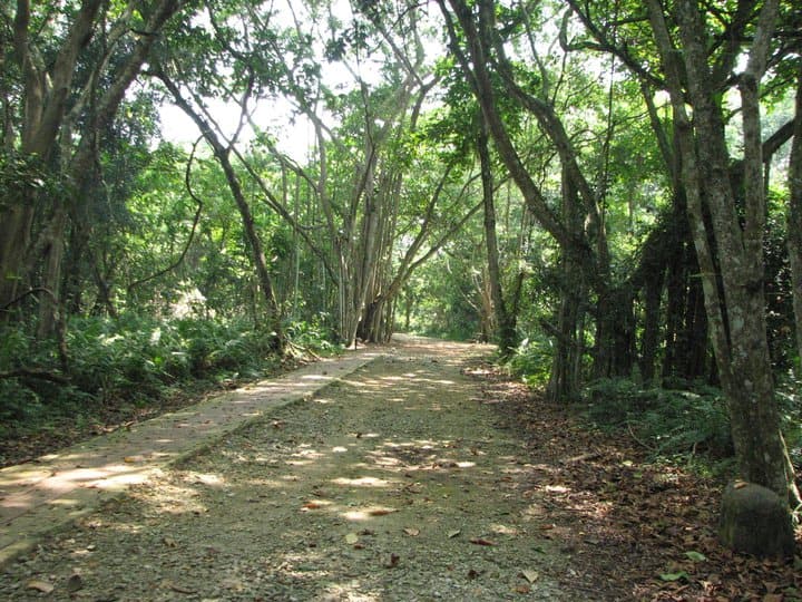 Views of Kuala Selangor Nature Park