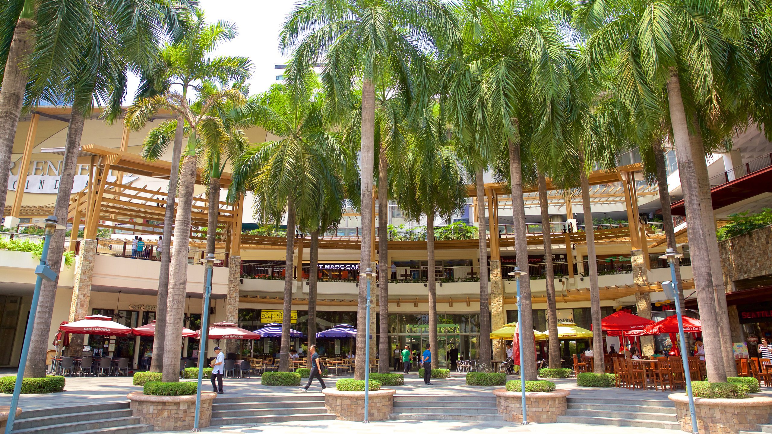 palm trees outside mall