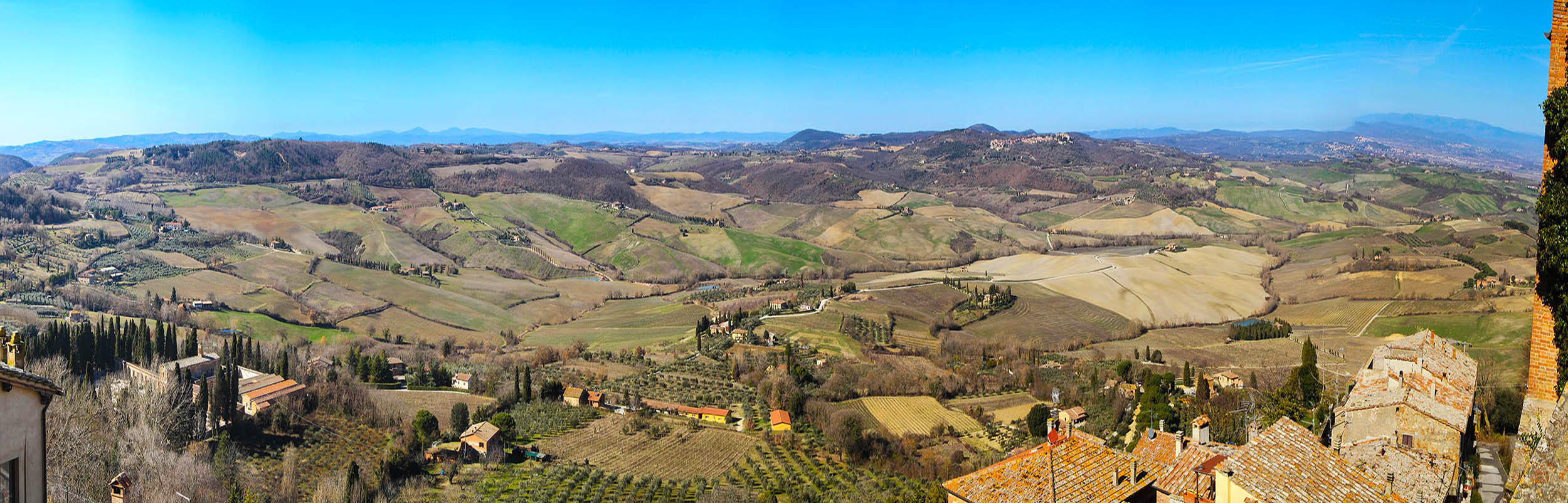 Vineyards in Montepulciano