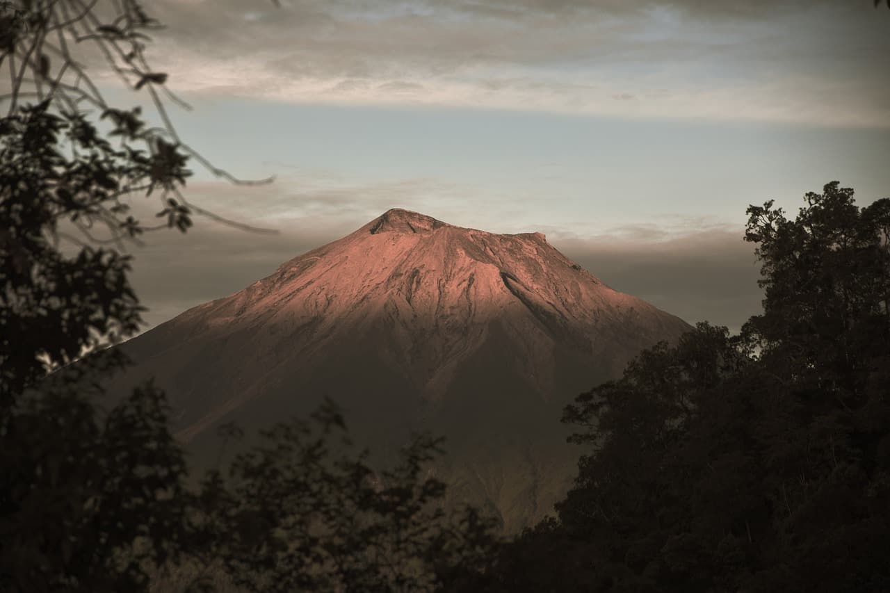 mountain surrounded by trees