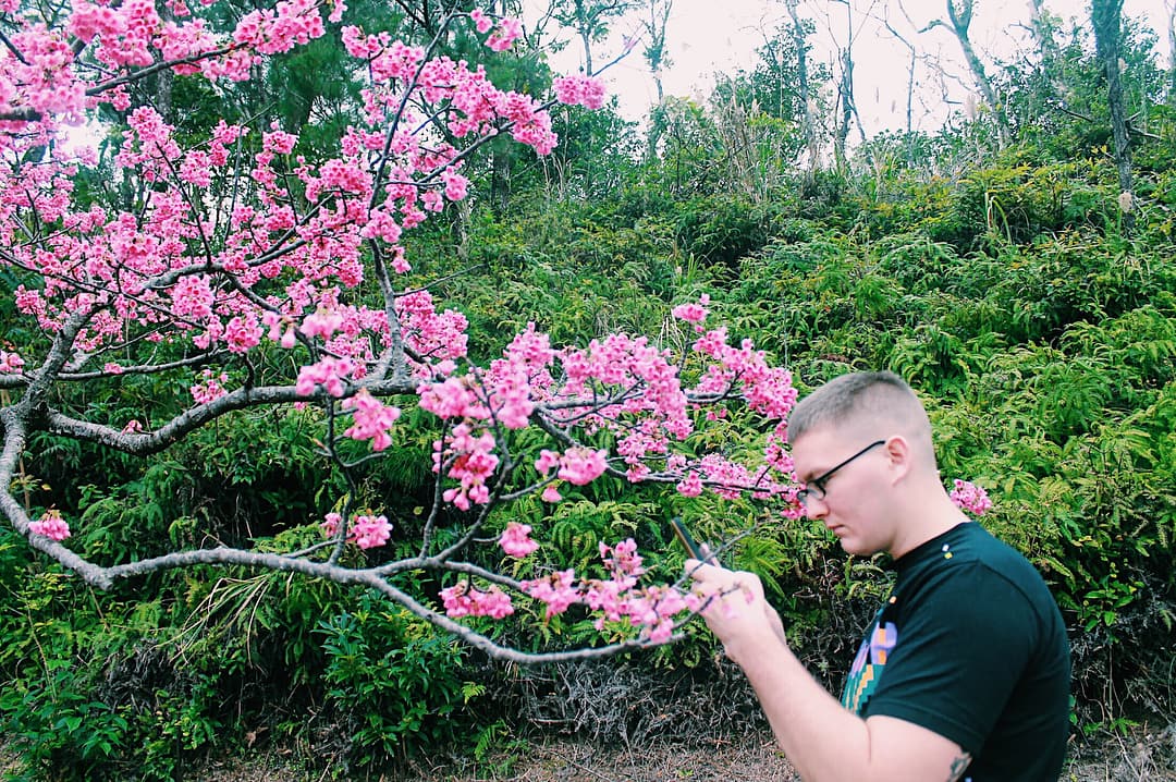 Photographing cherry blossoms at Mount Yaedake