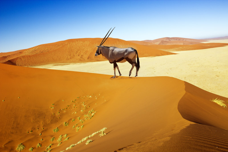 namibia-sand-dunes