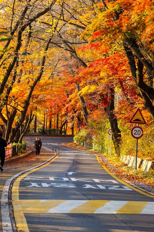 namsan-mountain-autumn-2