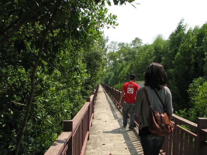 Walking in Kuala Selangor Nature Park