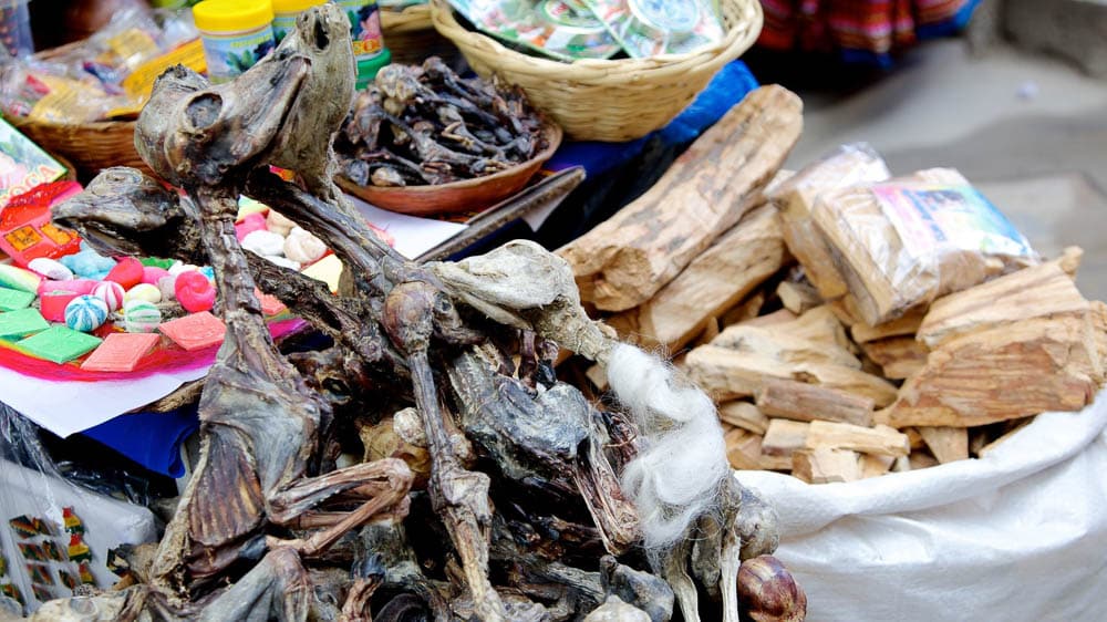 Llama fetuses at The Witches’ Market, La Paz