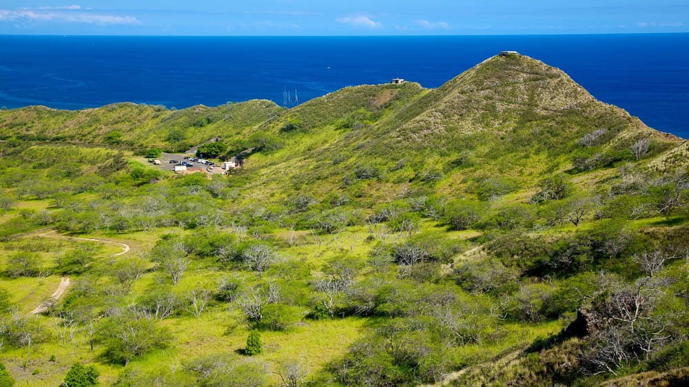 Scenes of Hawaii 