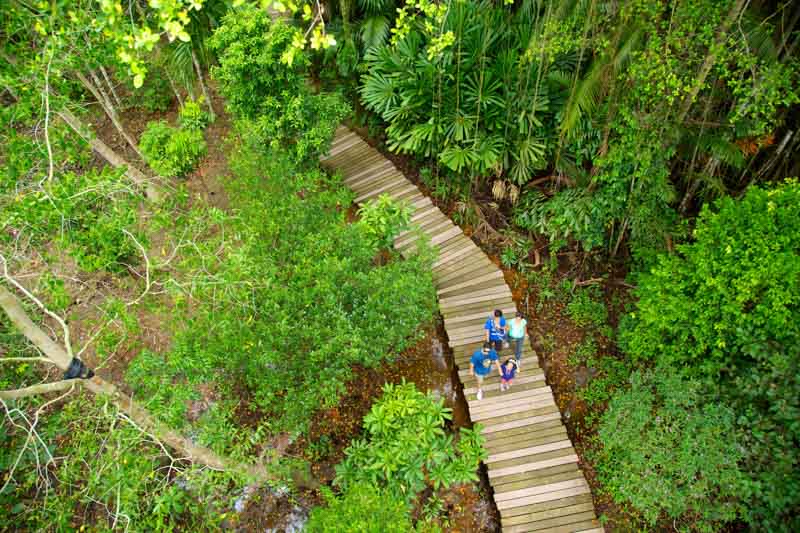 pulau-ubin