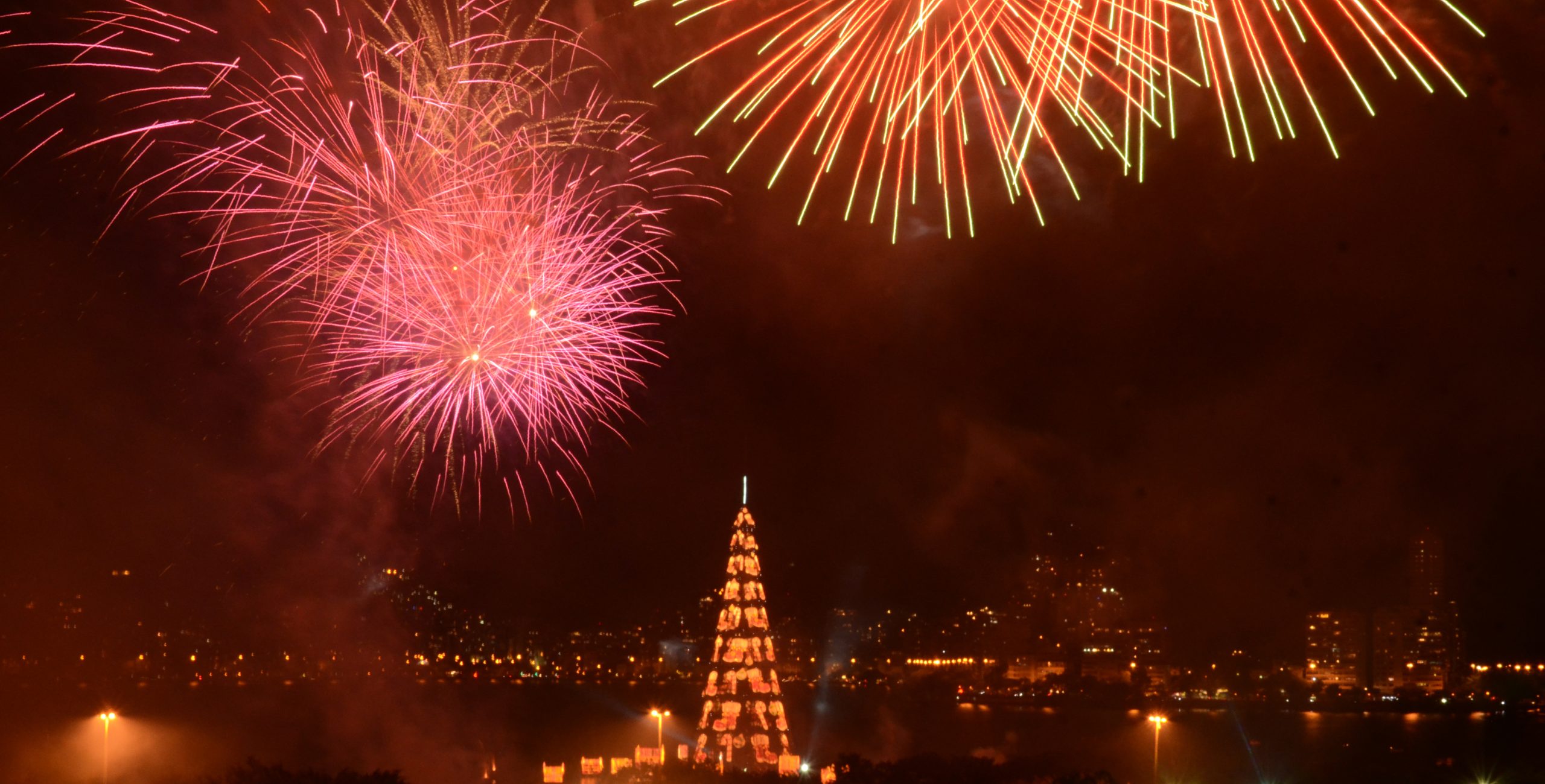 rio-christmas-tree