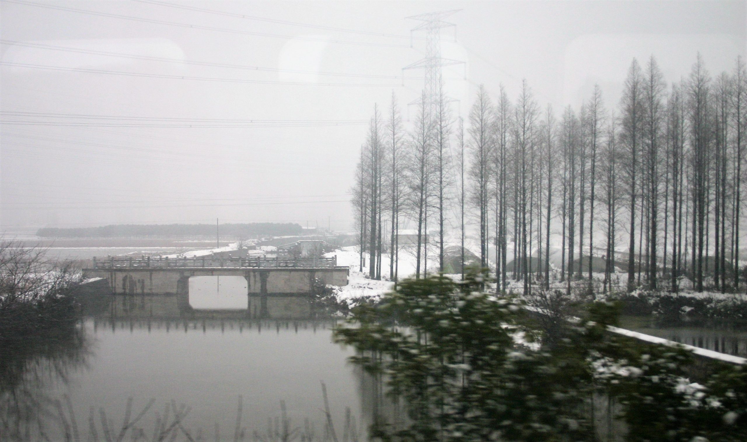 shanghai-suzhou-train-scene-trees