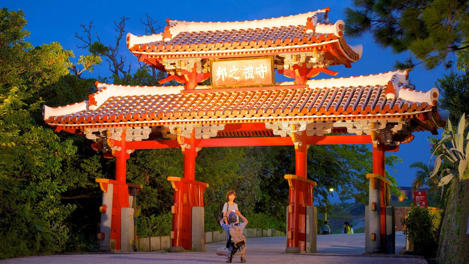 Features of Shujiro Castle at night