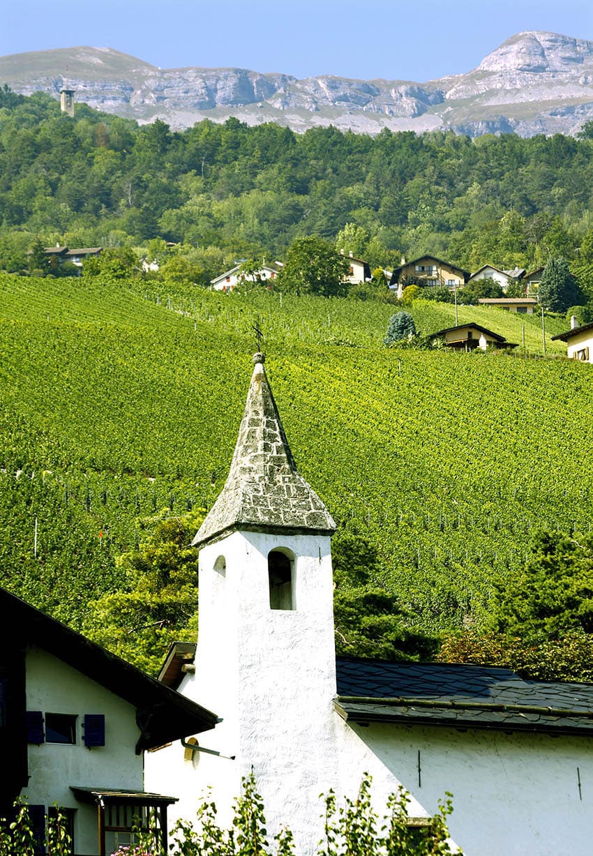 sierre-vineyards-valais-switzerland