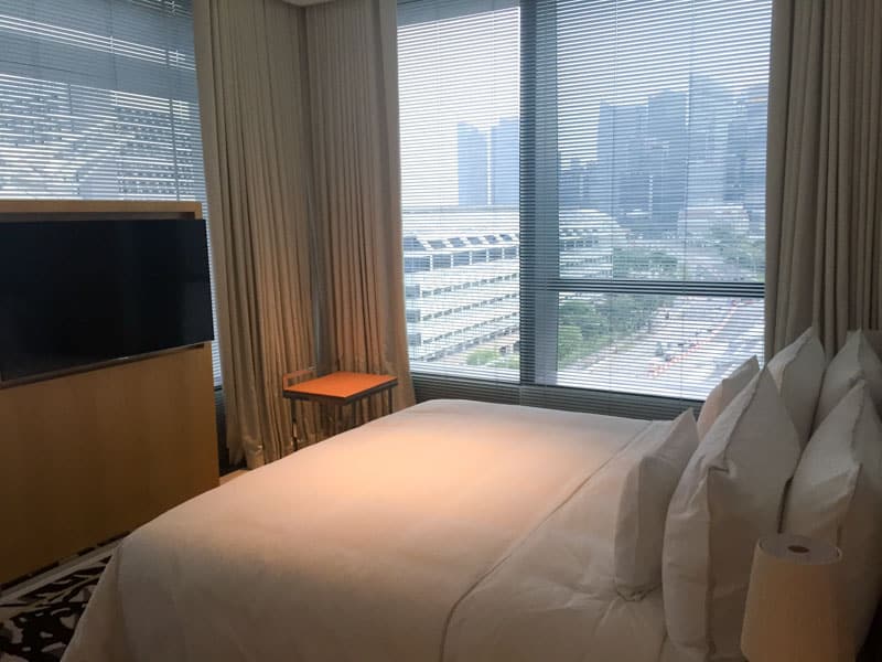 singapore-hotel-f1-view