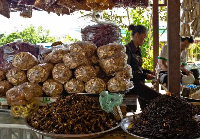 Spiderville cambodia