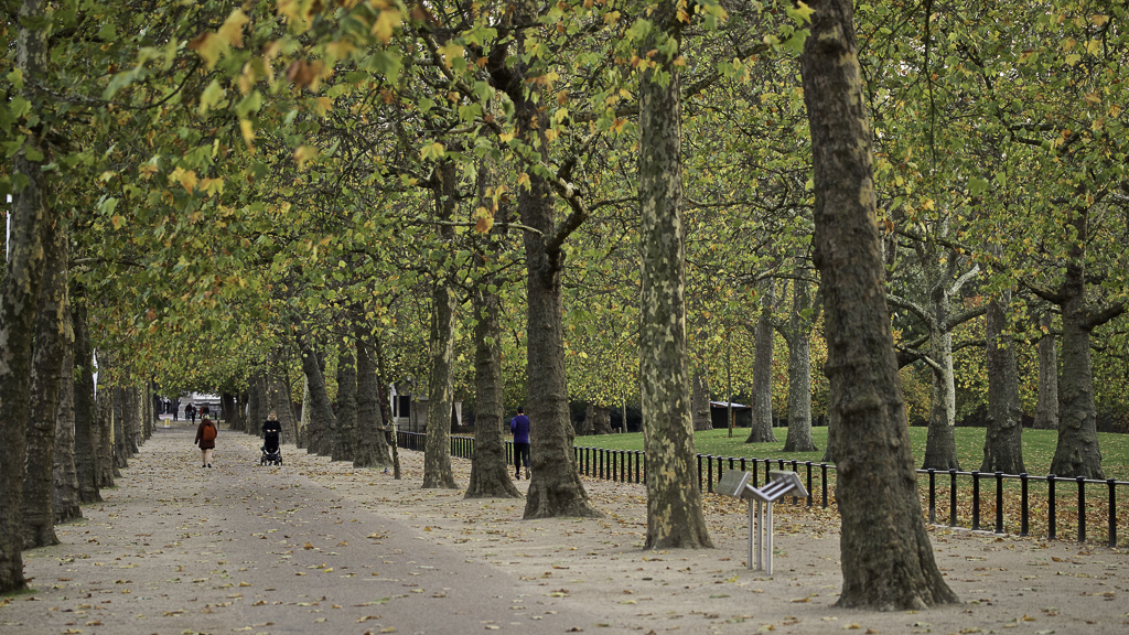 St James Park in London