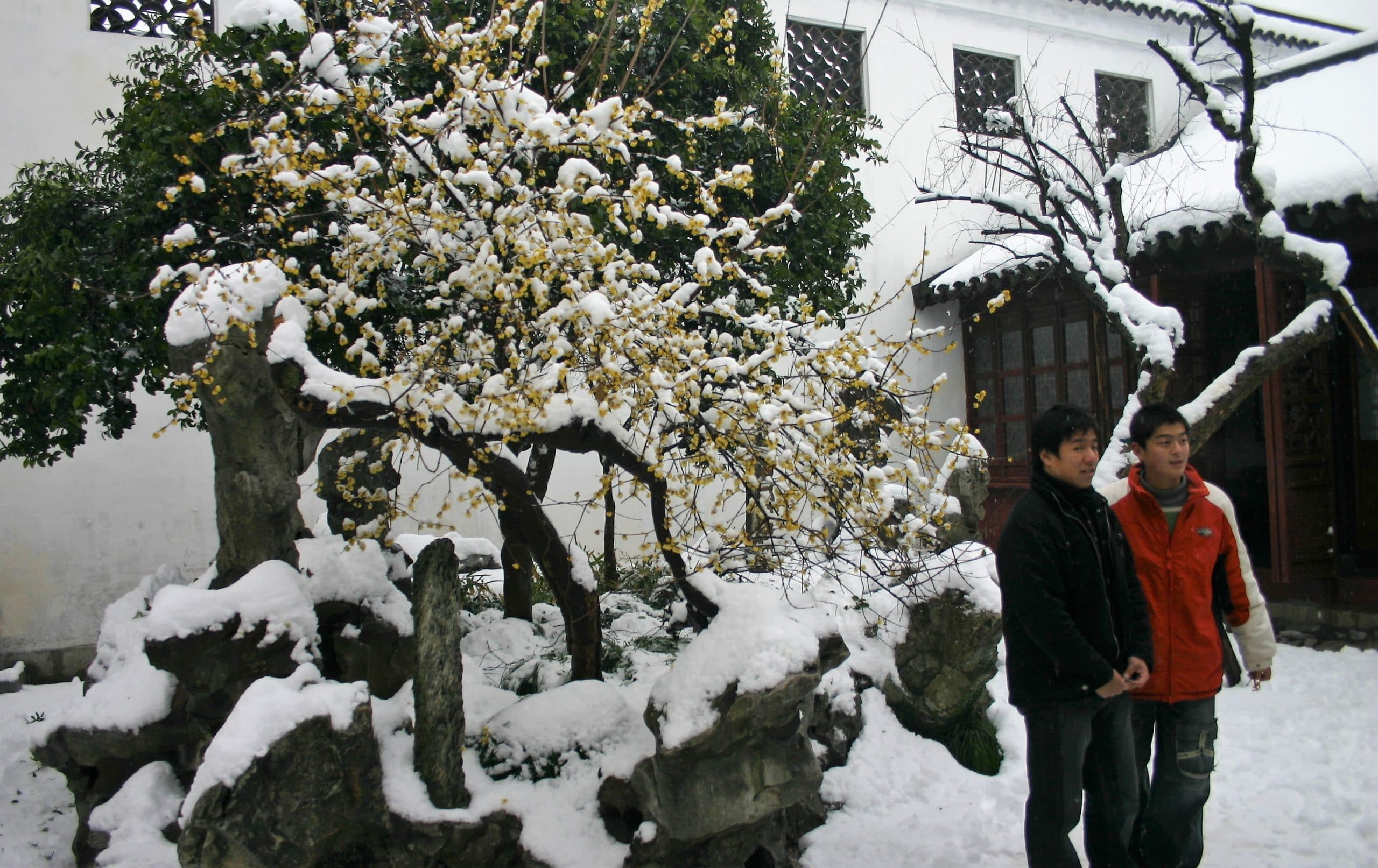 suzhou-garden-locals