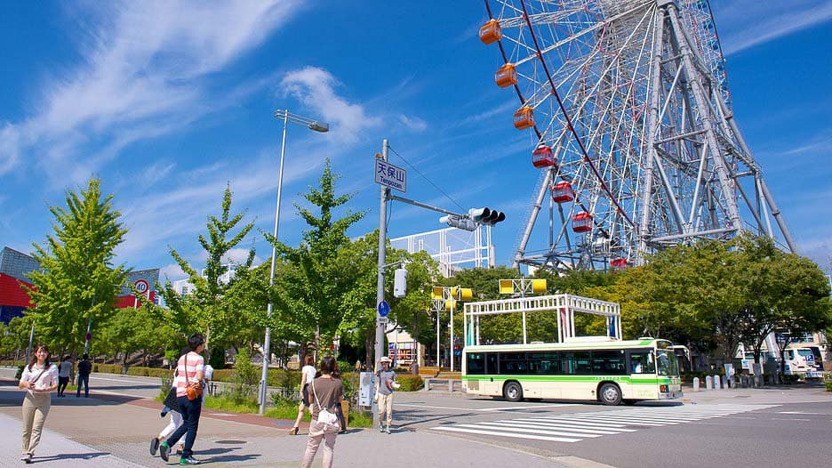 Tempozan Village Ferris Wheel, Osaka
