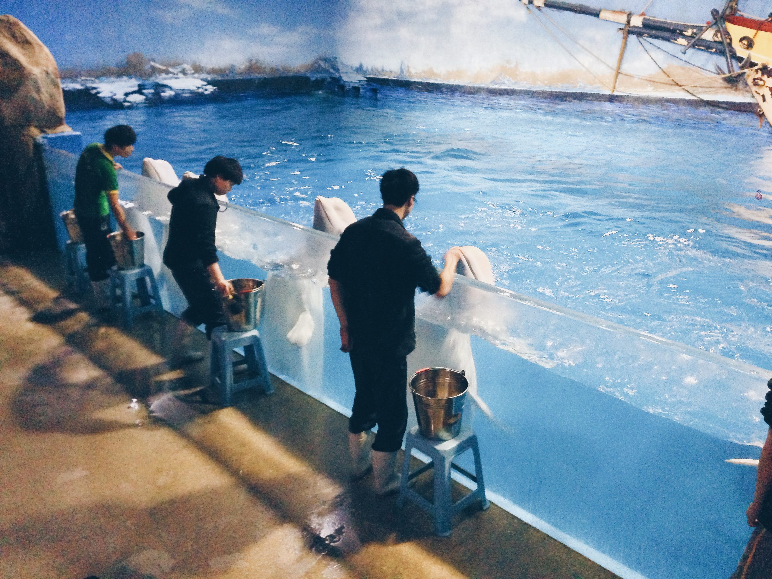 Feeding session at Tianjin Haichang Polar Ocean World