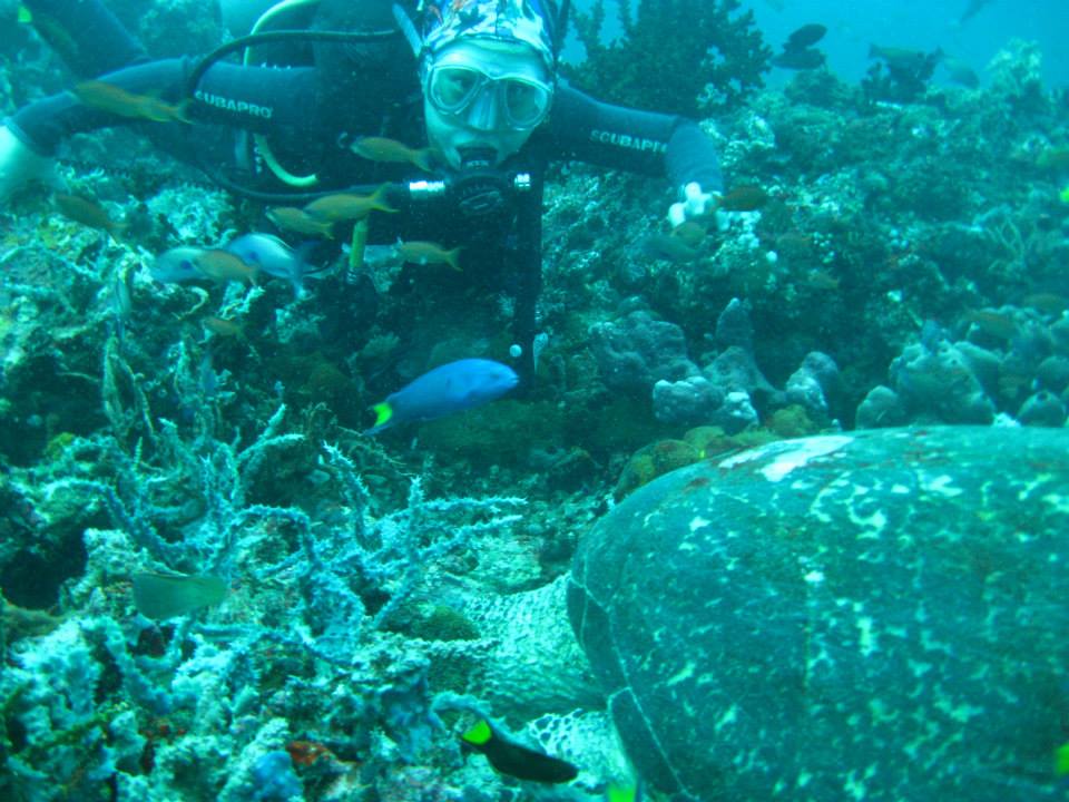Me with a turtle, diving in Puerto Galera, Philippines - Diving in Asia