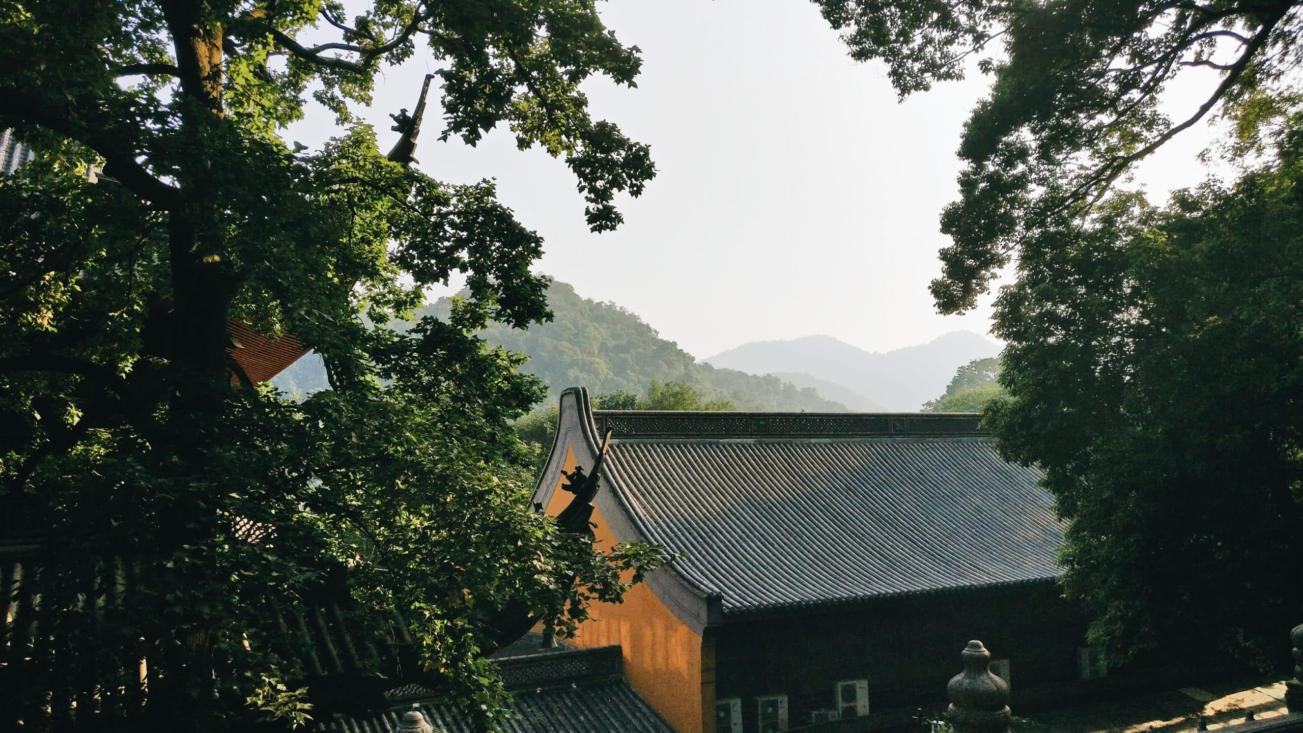 Wulin temple through the foliage