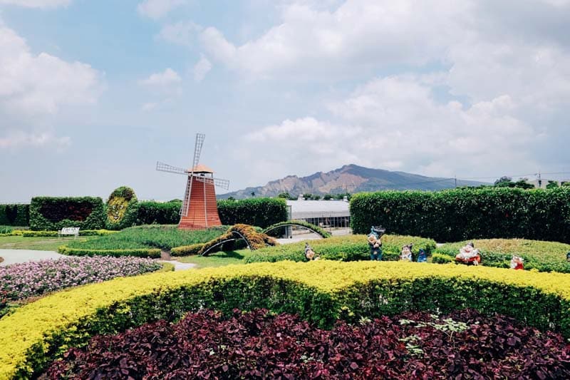 zhongshe-flower-field-taichung