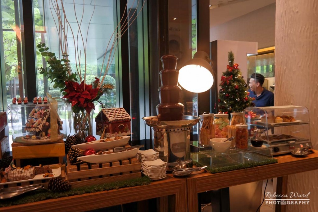 21-on-rajah-chocolate-fountain