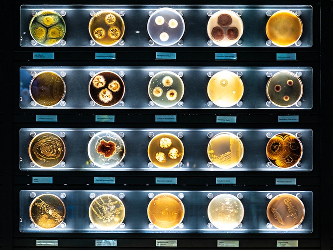 microbes at micropia