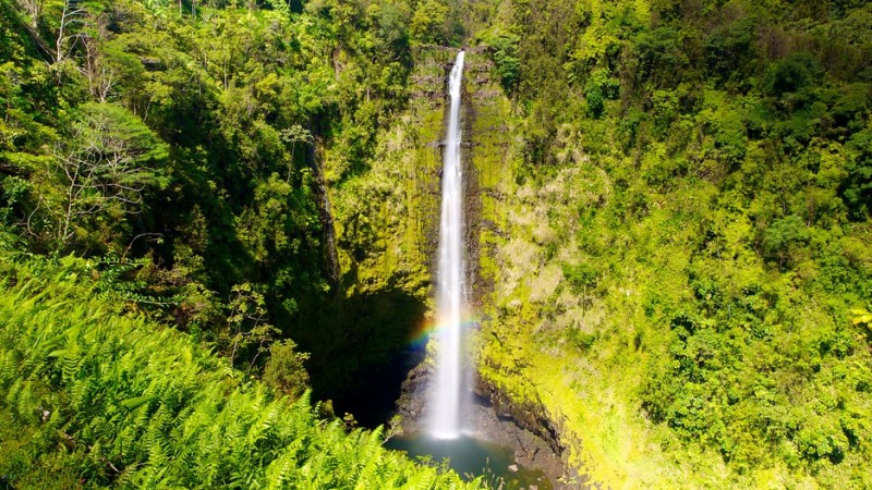 Akaka Falls Hawaii
