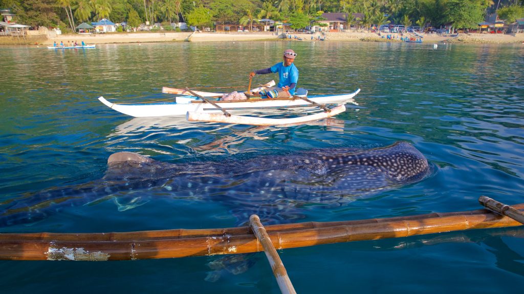 Boating in Cebu, Philippines