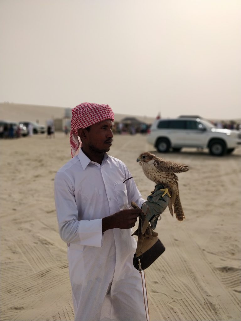 bedouin with falcon at sand desert qatar