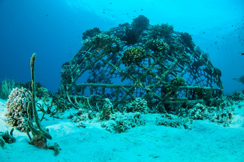 Biorocks reef, Lombok, Indonesia
