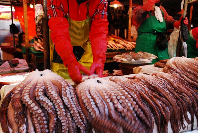 Jagalchi Fish Market Busan