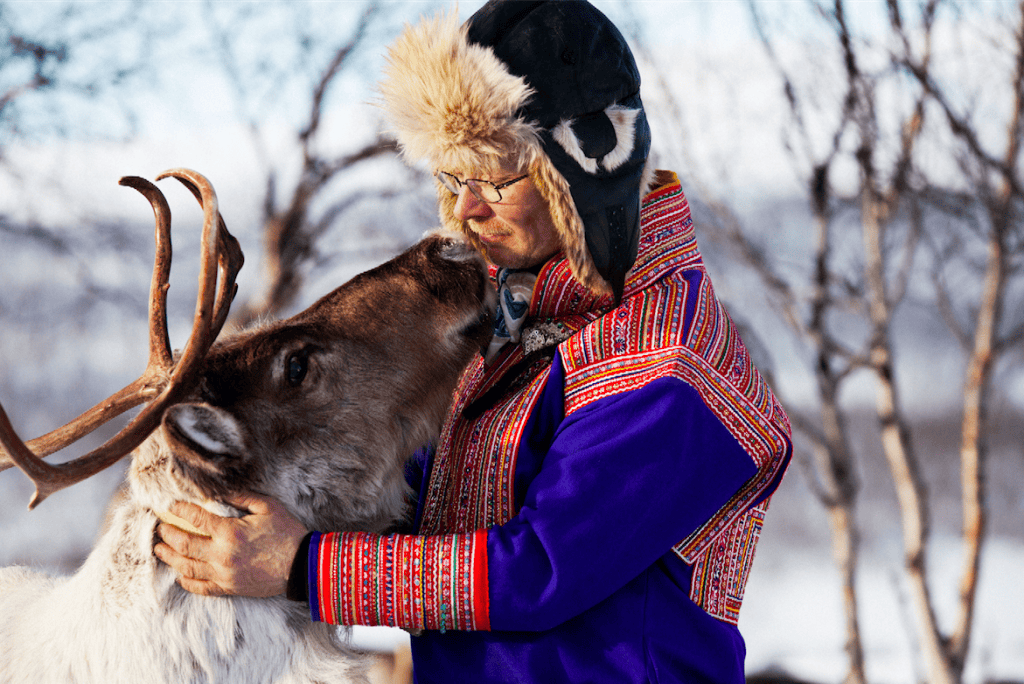 sami culture reindeer