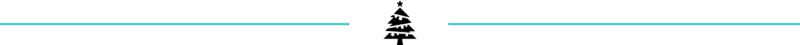 christmas-divider