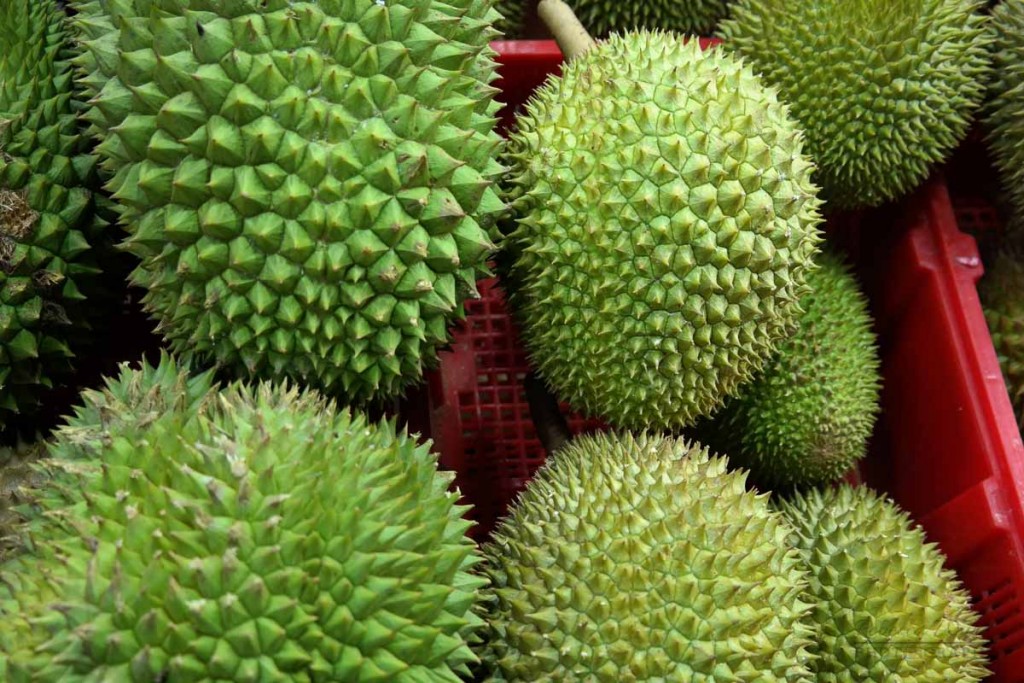 durians-balestier2
