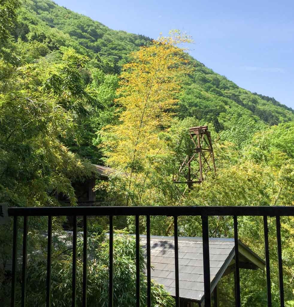 Hakone ryokan view