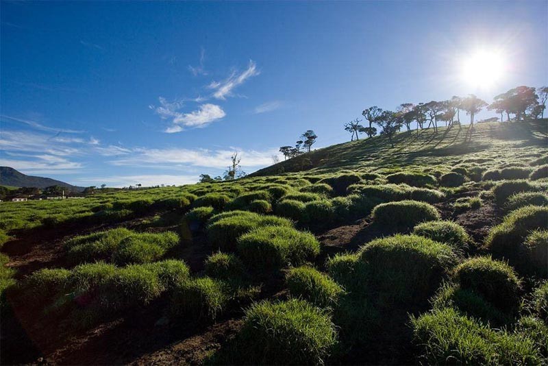 Horton Plains Sri Lanka
