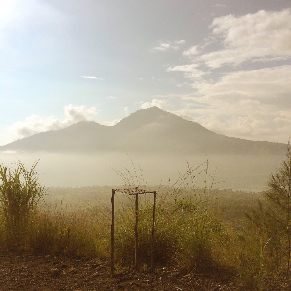 image009