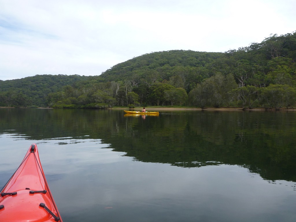 kayak-royal-national-park