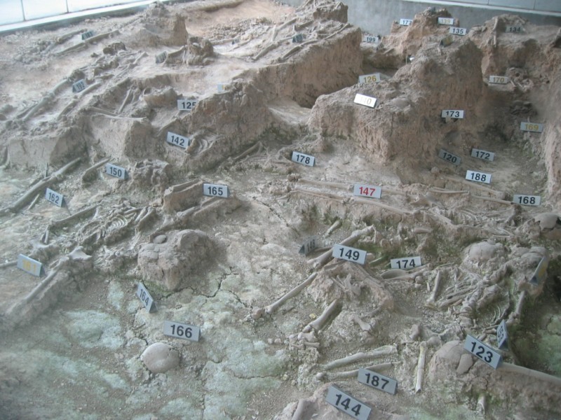 nanjing-massacre