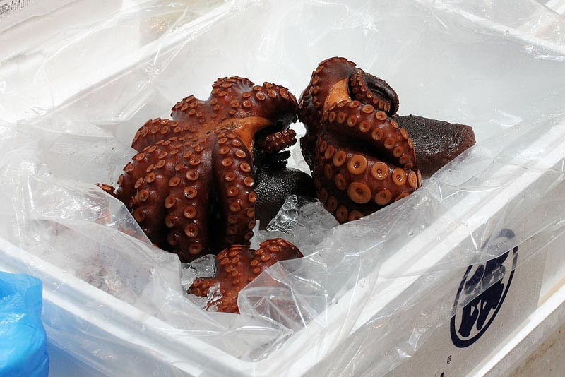 octopus-tokyo-fish-market