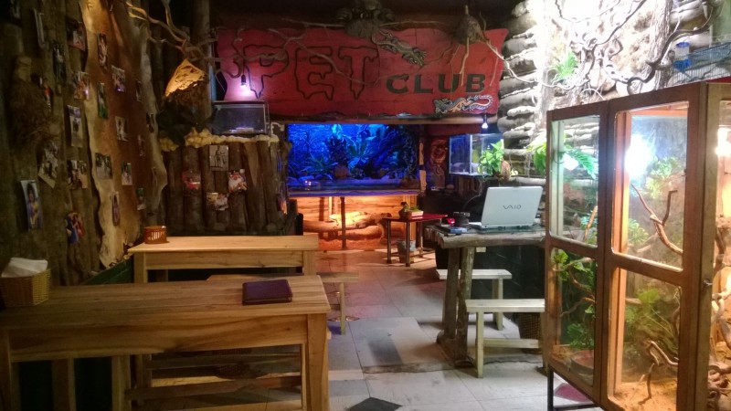 Pet Cafe Hanoi