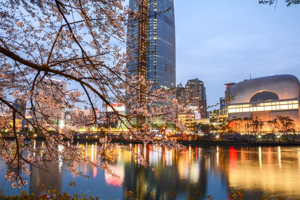 seokchon-lake-cherry-blossoms-korea