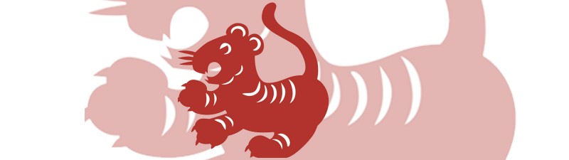 tiger2